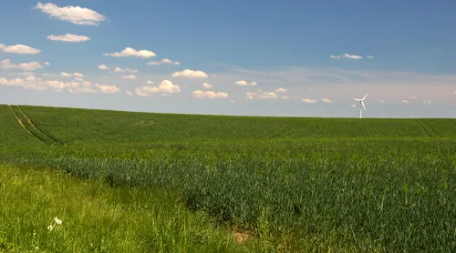 This landscape photograph captures a rural scene during the early afternoon in spring. The main subject is a wind turbine situated on the horizon, standing tall amidst expansive green fields. The fields, which are characteristic of agricultural land, stretch out under a blue sky dotted with scattered white clouds. This rural setting highlights both traditional agriculture and modern renewable energy, with the wind turbine symbolizing sustainable practices in the countryside. The overall composition emphasizes the harmonious coexistence of wind turbines and farmland in a rural environment.